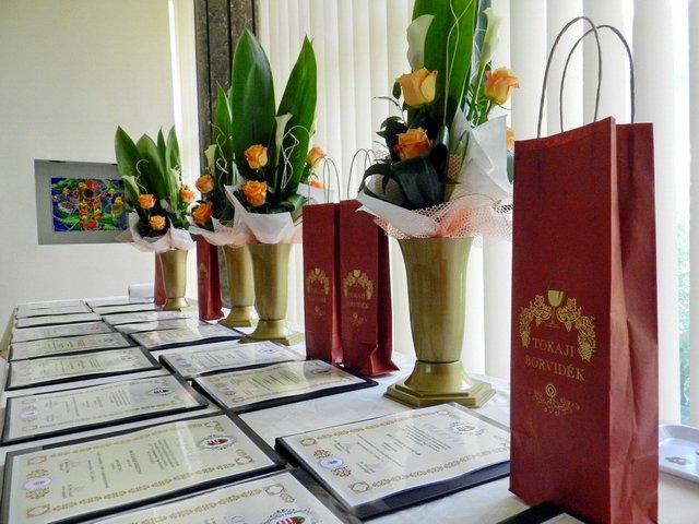 Semmelweis nap 2017 001